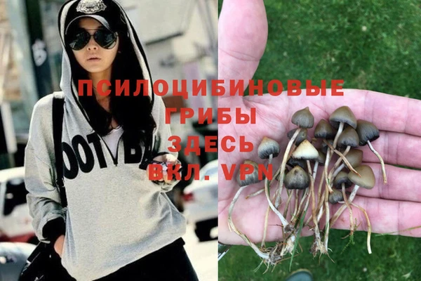 гидропоника Мегион