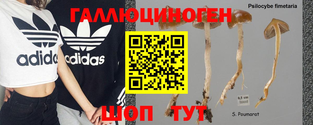 Галлюциногенные грибы MAGIC MUSHROOMS  сколько стоит  Галлюциногенные грибы MAGIC MUSHROOMS  Прокопьевск 