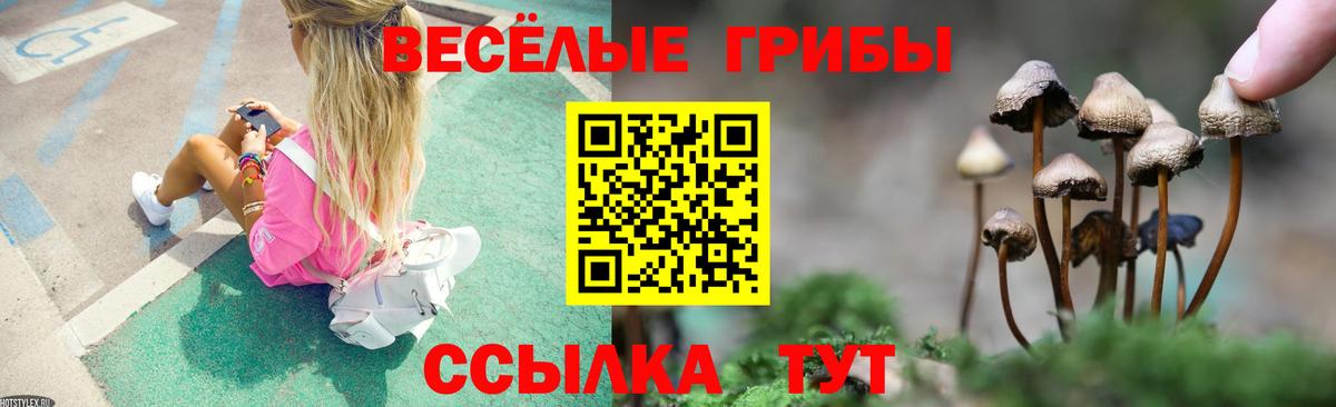 Галлюциногенные грибы мухоморы  Вход с VPN  Прокопьевск  Псилоцибиновые грибы Psilocybine cubensis 